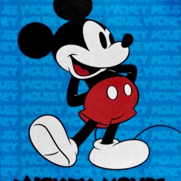 BNIP Disney Characters Children’s Twin Size Blanket - Picture 5 of 8